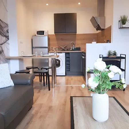 Apartment Vue Montagne - Appt Cosy Et Calme - Netflix - Fibre